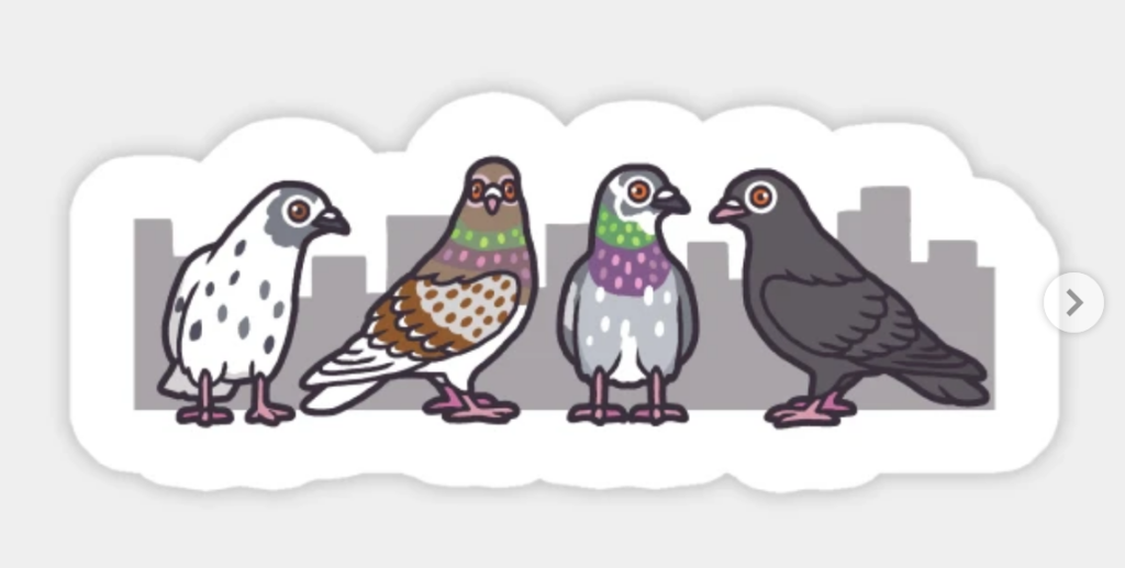 four cartoon pigeons standing in front of a silhouetted city skyline