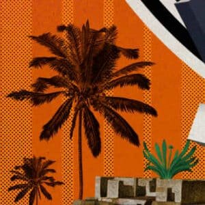 Close-up of an illustration of a palm tree on a bright orange background.